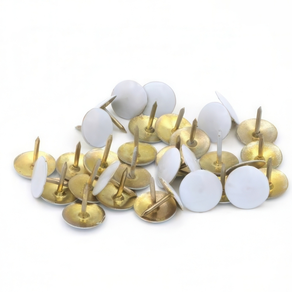 Nastat, THUMB TACKS, 100 kpl ryhmässä Säilytys / Toimistotarvikkeet @ SmartaSaker.se (41246)