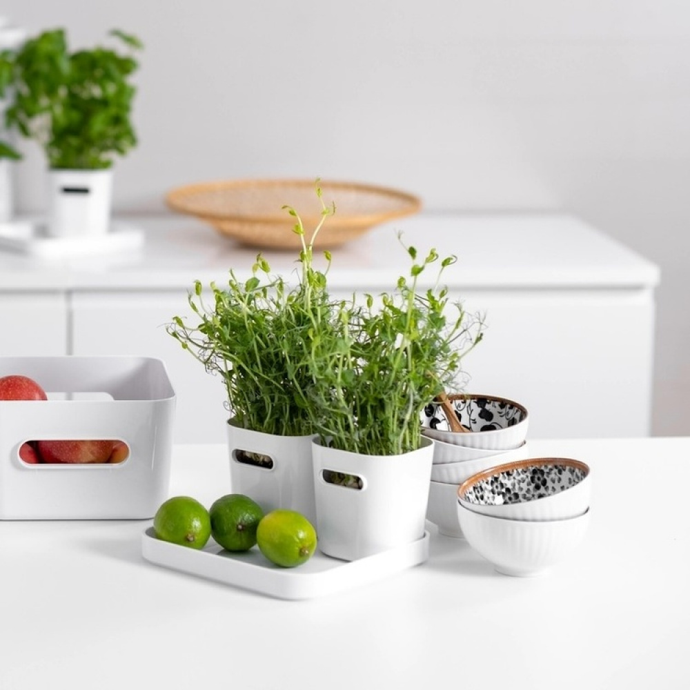 Kansi neliönmuotoiseen säilytyslaatikkoon, SmartStore ryhmässä Säilytys / Säilytyskorit / SmartStore säilytyslaatikot @ SmartaSaker.se (41661)