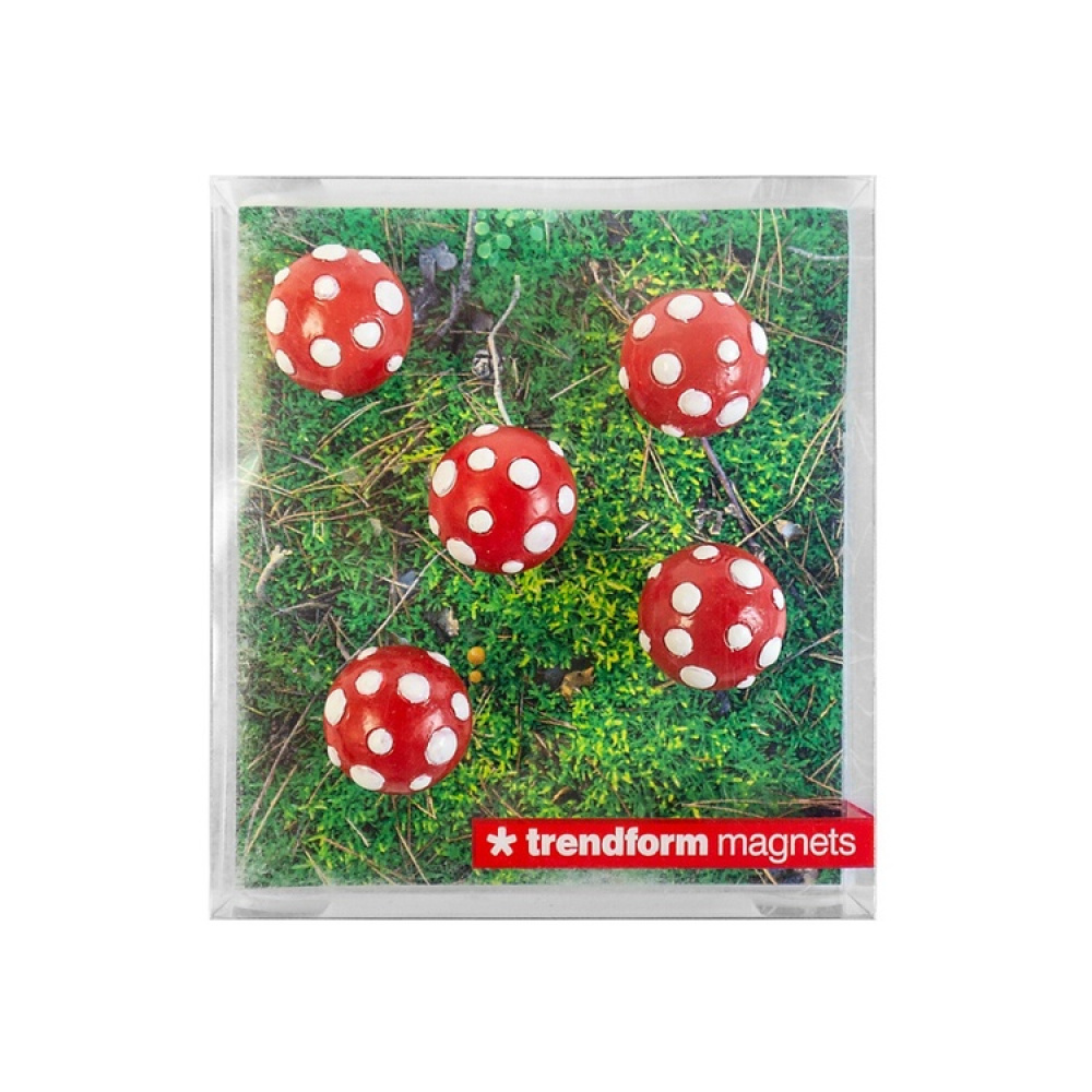 Magneettifiguuri 5 kpl, Kärpässieni ryhmässä Säilytys / Magnetit ja itsekiinnittyvät @ SmartaSaker.se (41967)