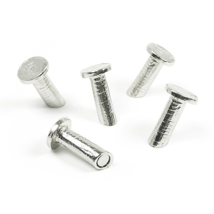 Naulan muotoiset magneetit, 5 kpl, NAIL, Ø 1,5 x K 2,8 cm, hopea ryhmässä Säilytys / Magnetit ja itsekiinnittyvät @ SmartaSaker.se (41978)