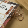 Paperipidikkeet WIRE CLIPS SMALL 19 mm, 6 kpl