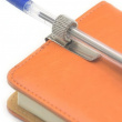 Kynäpidike metallia, 1 kynälle, PEN CLIP, hopea