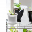 Suihkepullo 0,5 l, SmartStore
