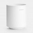 Hammasharjamuki metallia, Brabantia